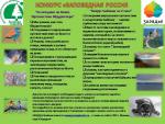  россия.jpg